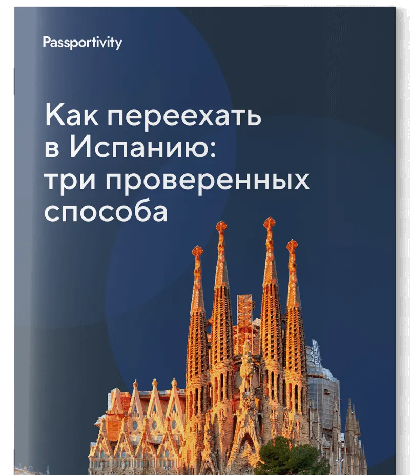 Подробное руководство — в подарок
