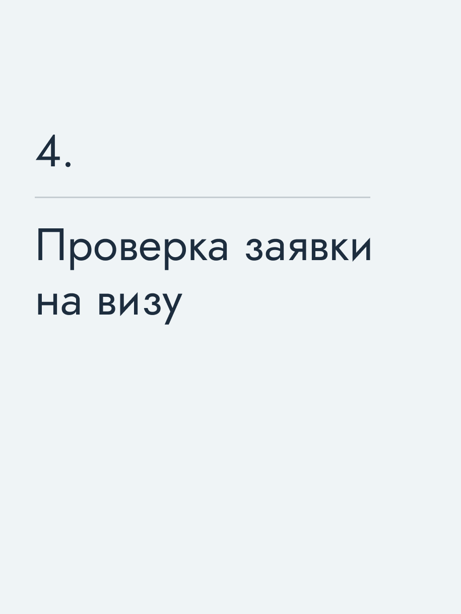 Проверка заявки на визу