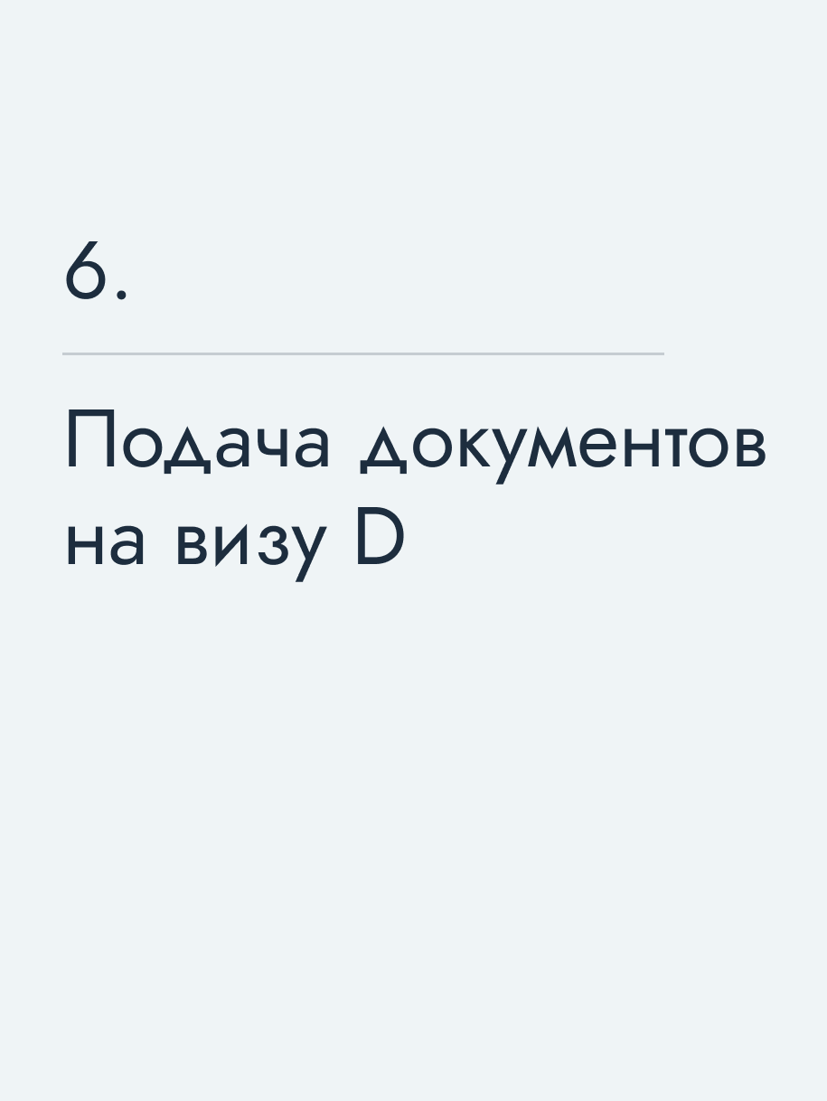 Подача документов на визу D