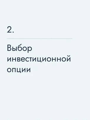 Выбор инвестиционной опции