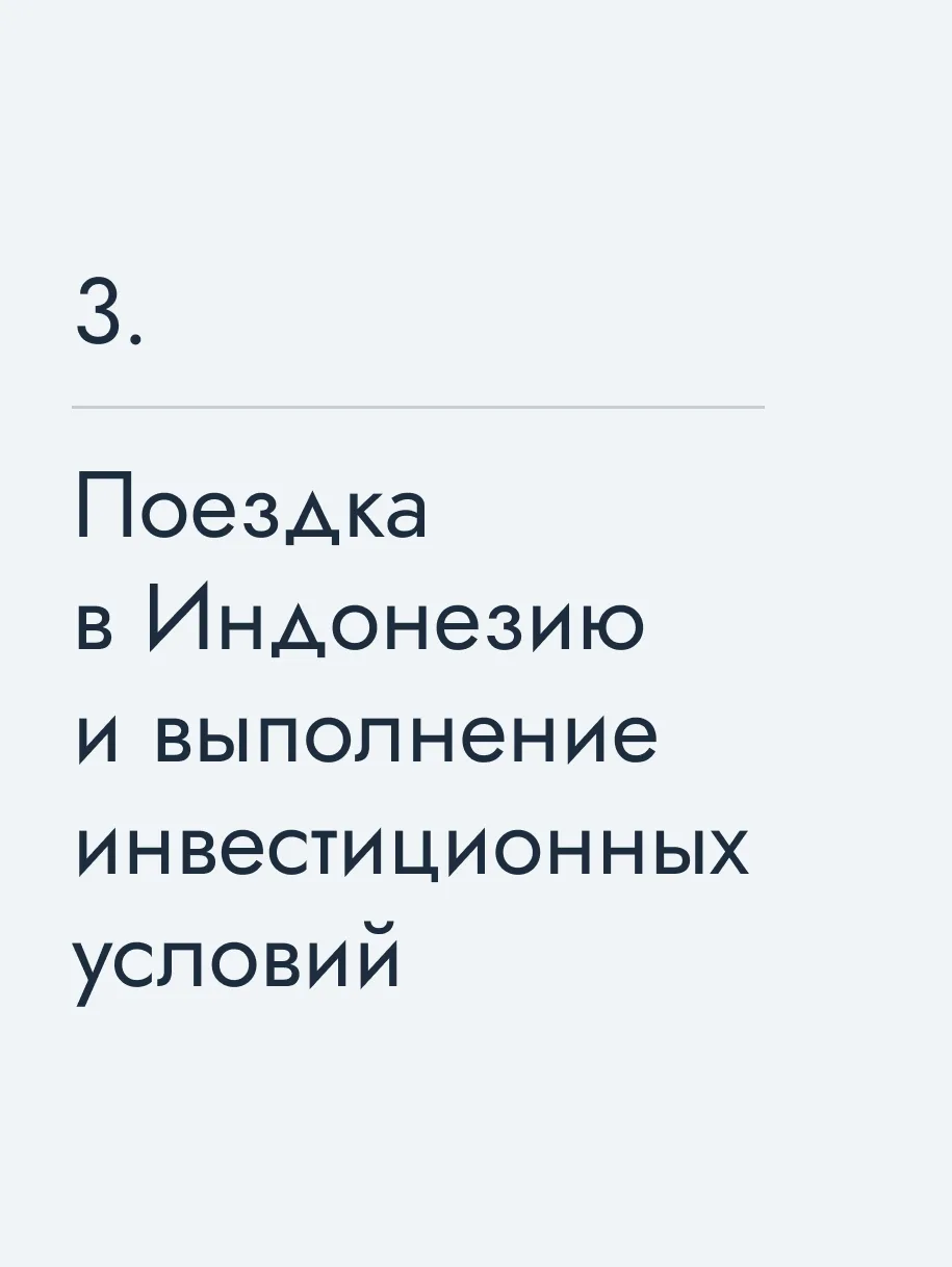 Поездка в Индонезию и выполнение инвестиционных условий
