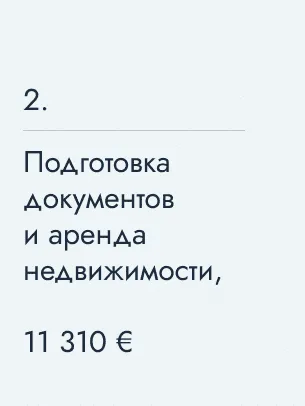 Подготовка документов и аренда недвижимости, 11&nbsp;310&nbsp;€