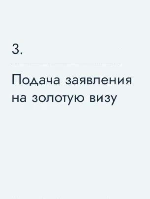 Подача заявления на золотую визу, 6700 $