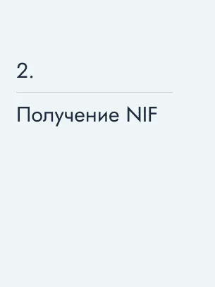 Получение NIF