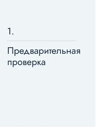 Предварительная проверка