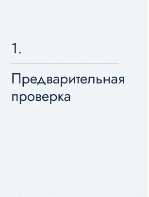 Предварительная проверка