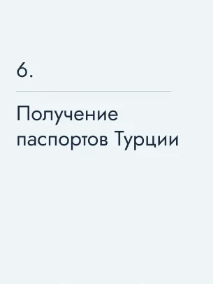 Получение паспортов Турции