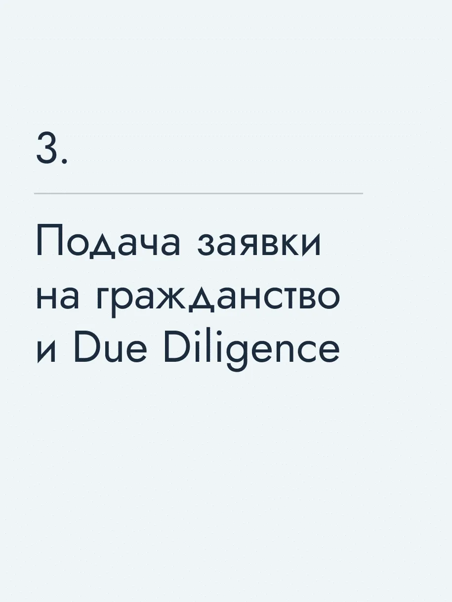Подача заявки на гражданство и Due Diligence