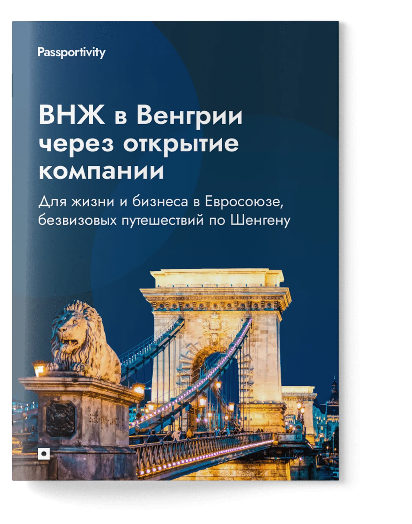 ВНЖ в Венгрии через открытие компании
