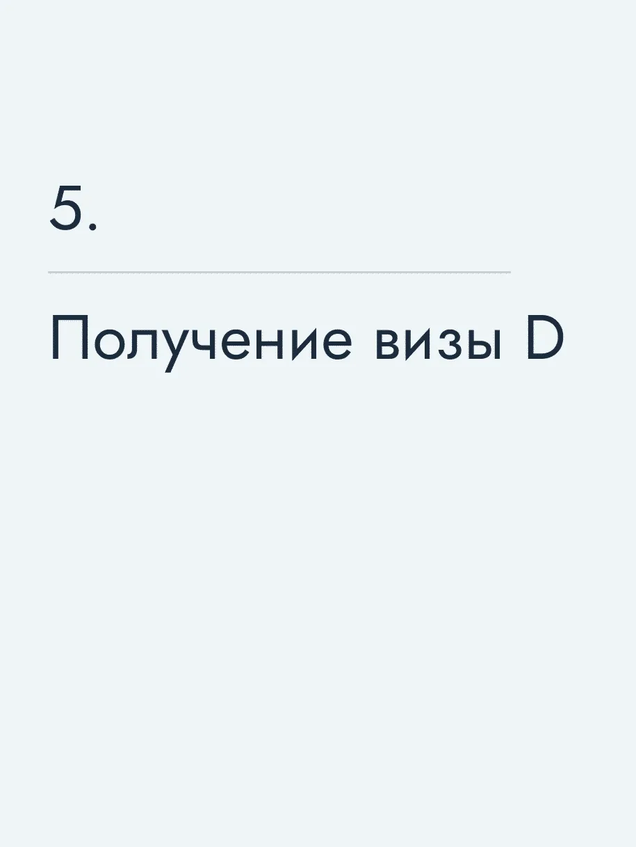 Получение визы D