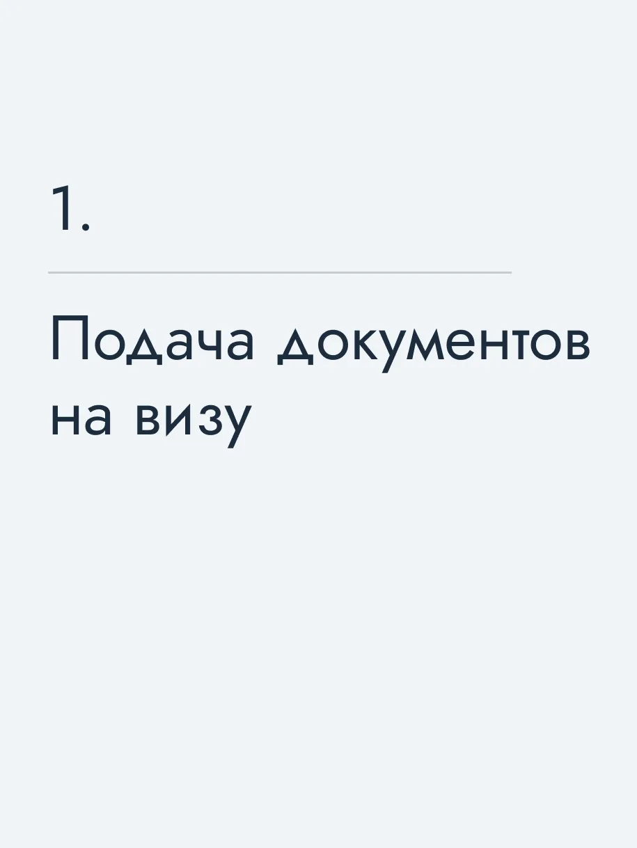 Подача документов на визу