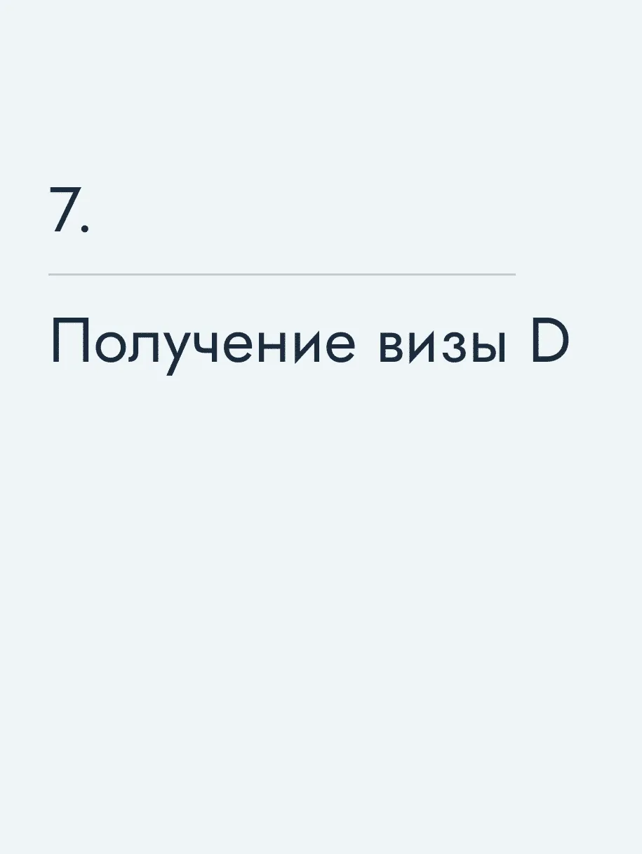 Получение визы D