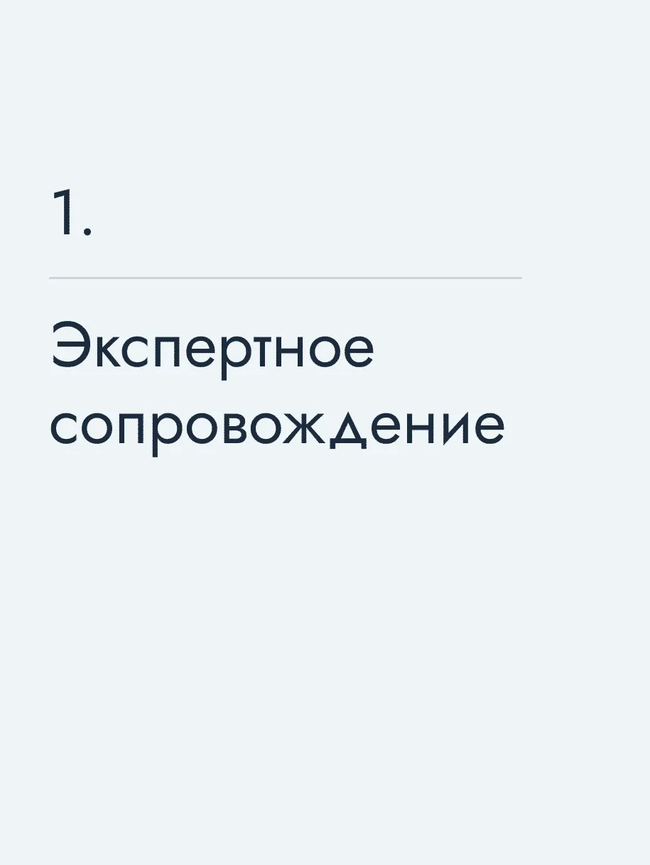 Экспертное сопровождение
