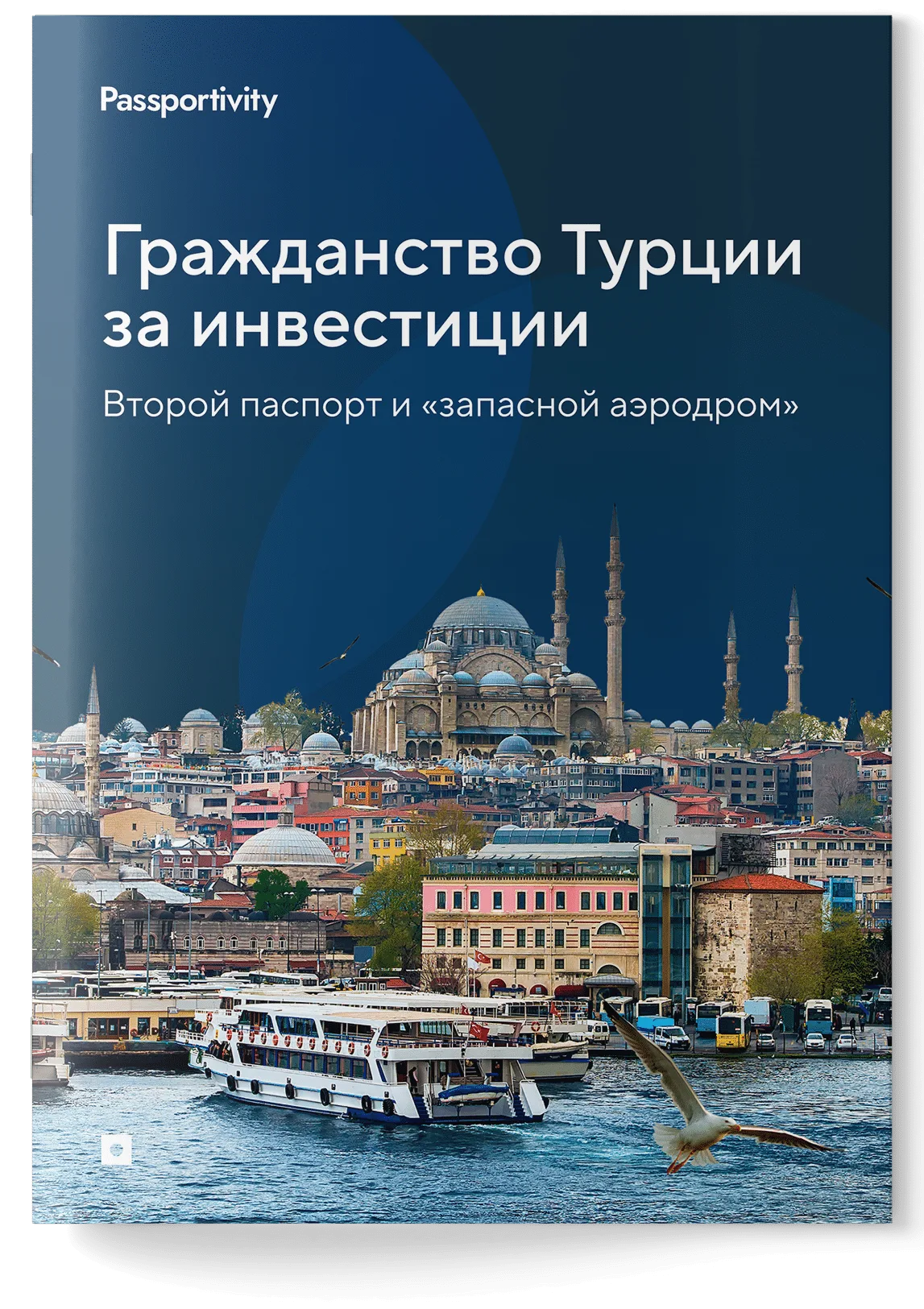 Как&nbsp;получить гражданство Турции и&nbsp;не&nbsp;потерять деньги?
