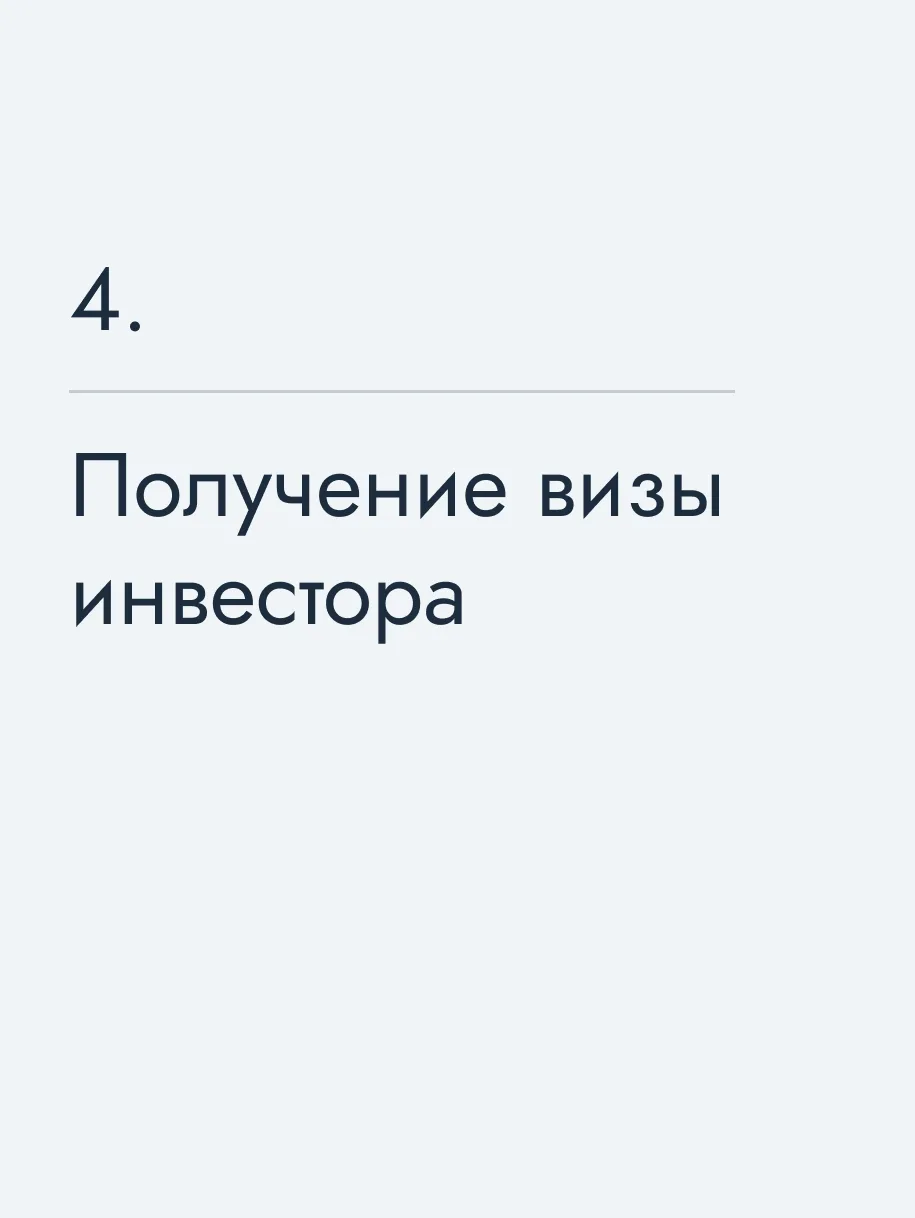 Получение визы инвестора
