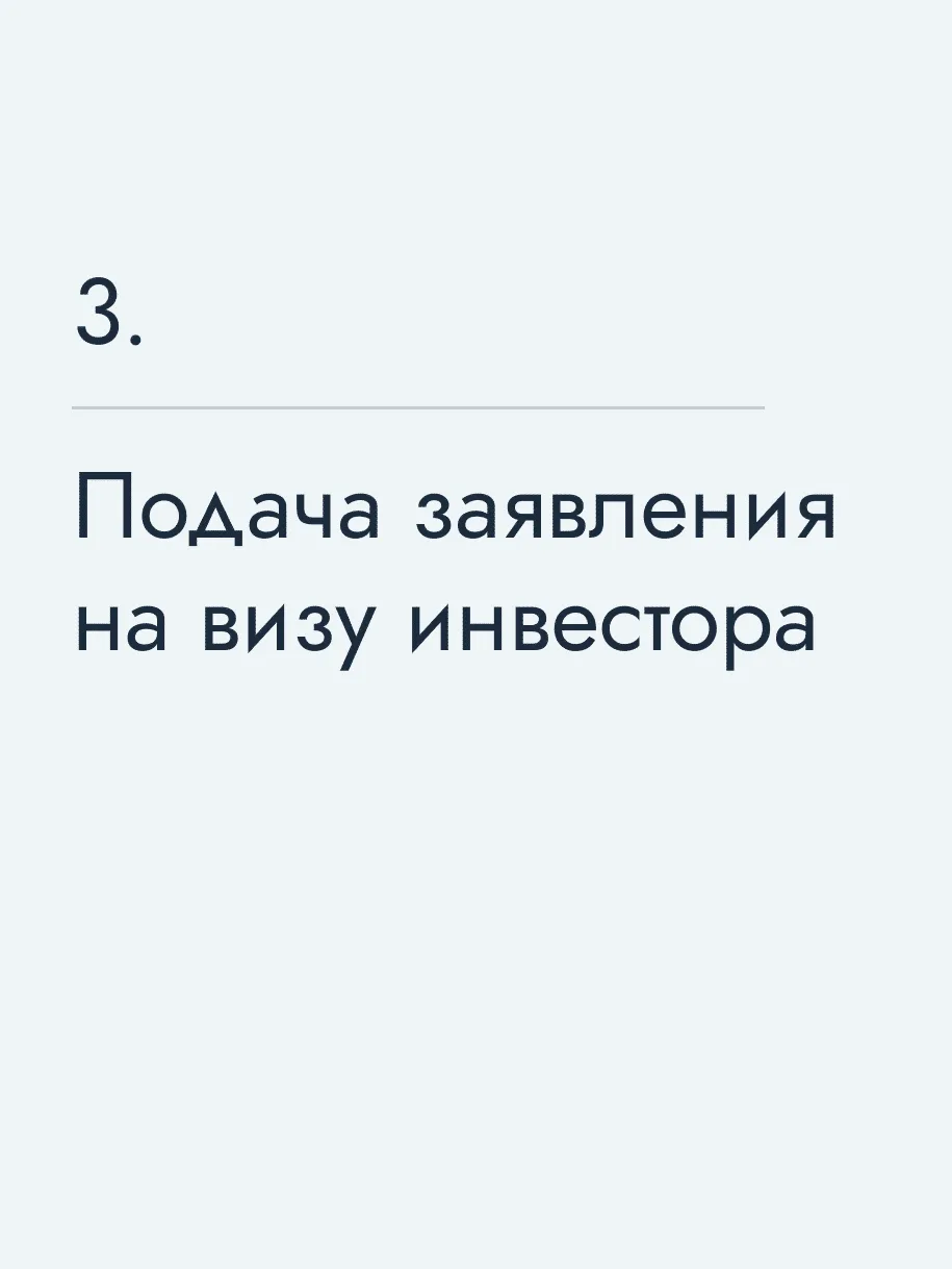 Подача заявления на визу инвестора