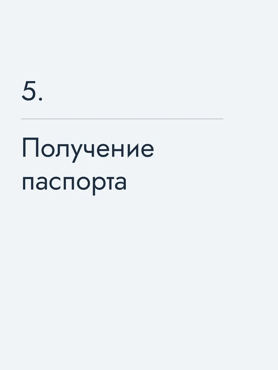 Получение паспорта