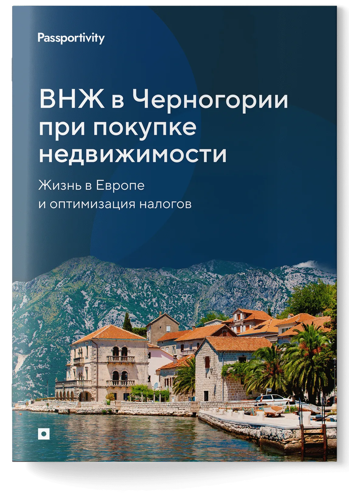 Подробное руководство — ВНЖ в Черногории при покупке недвижимости