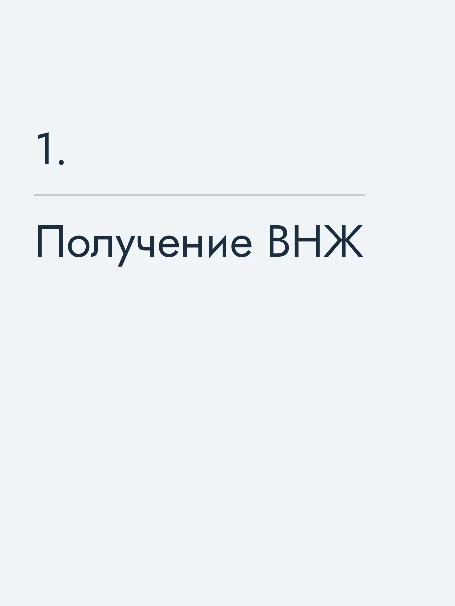 Получение ВНЖ