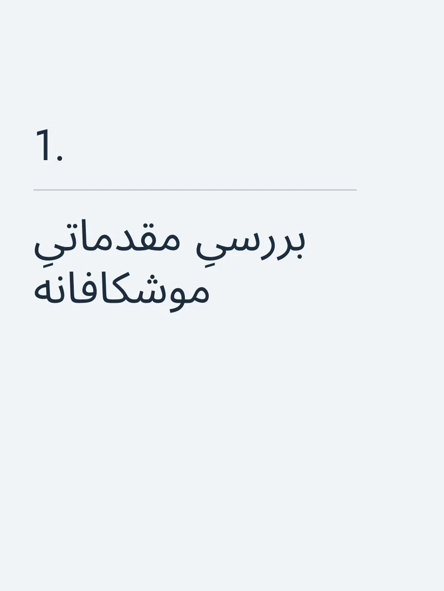 بررسیِ مقدماتیِ موشکافانه