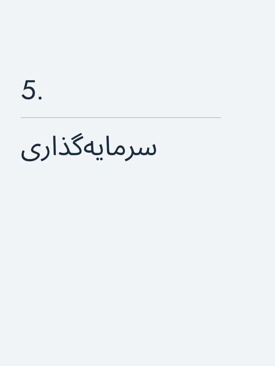 سرمایه‌گذاری