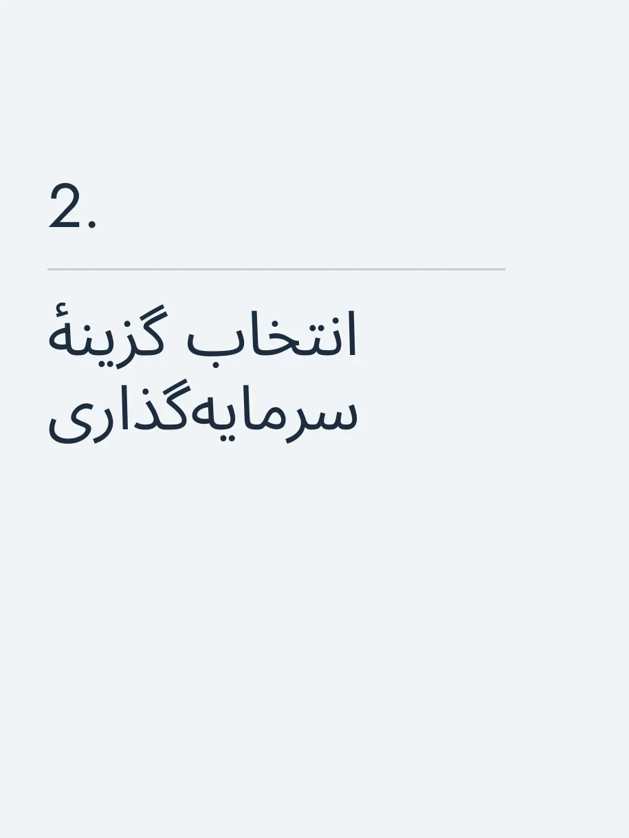 انتخاب گزینهٔ سرمایه‌گذاری