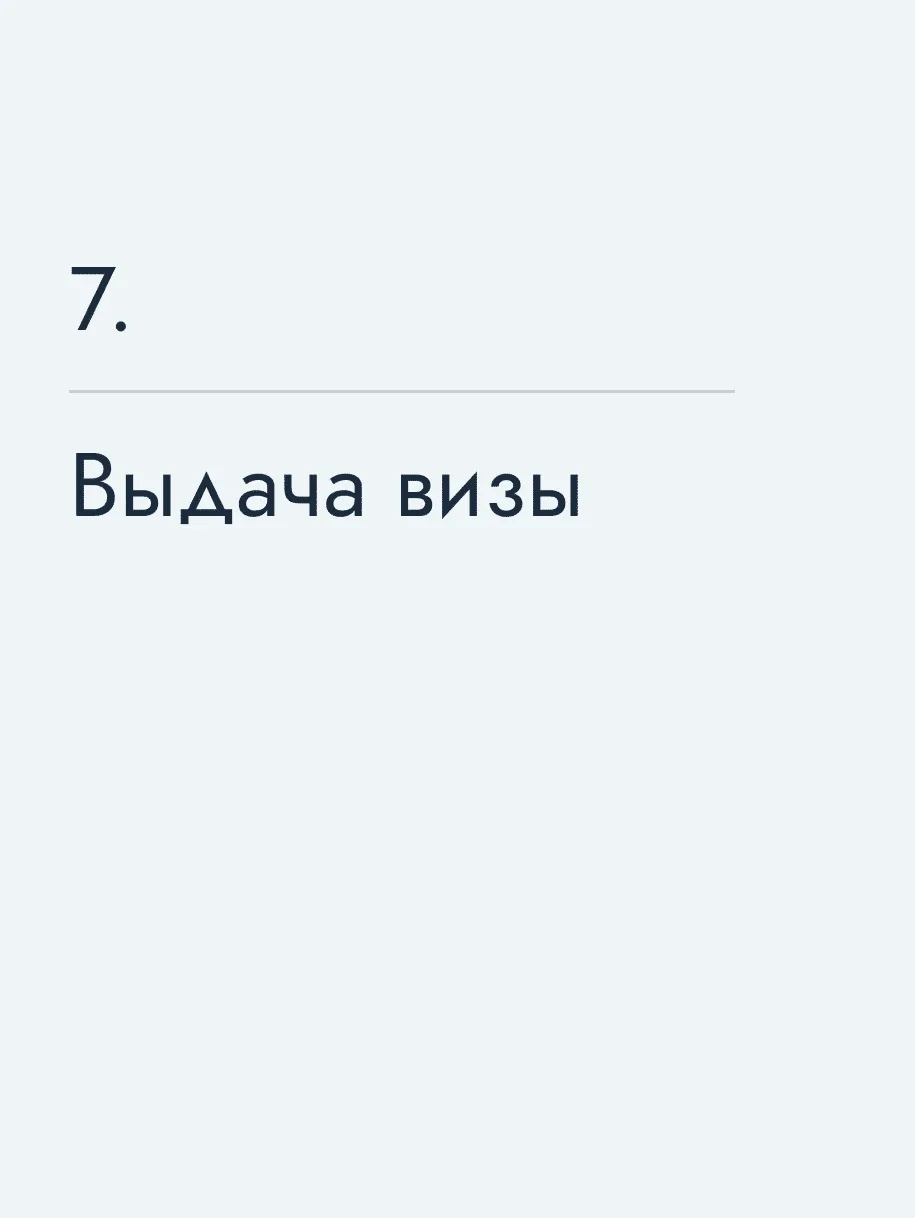 Выдача визы